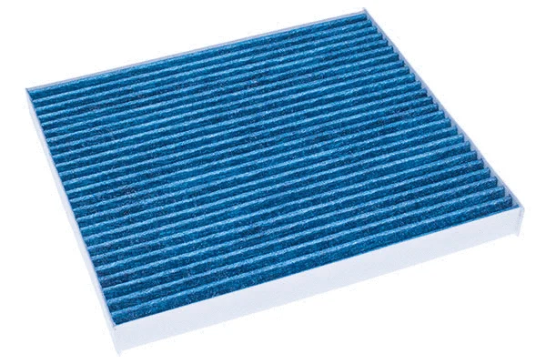 Filter, cabin air (M110462A)