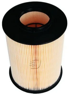 Air Filter (A141131)
