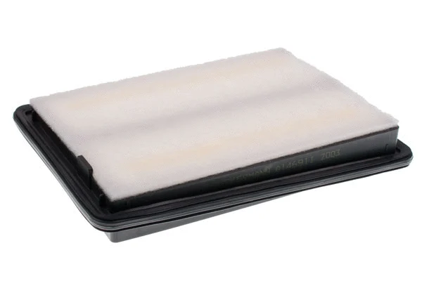 Air Filter (A146911)