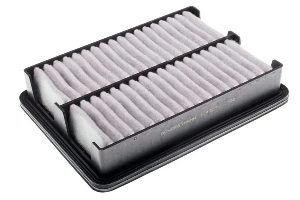 Air Filter (A142091)