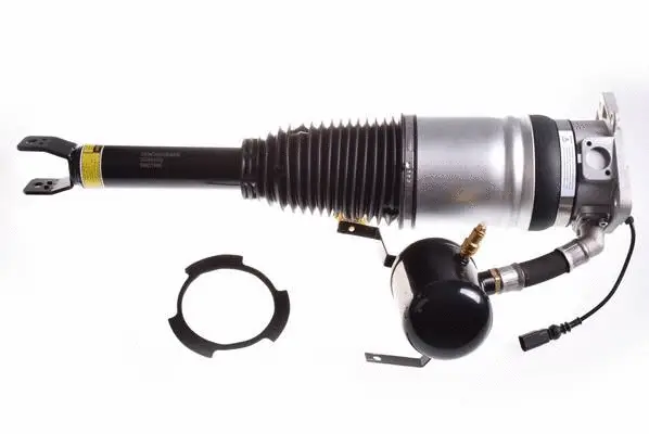 Air Suspension Strut (DSA013G)