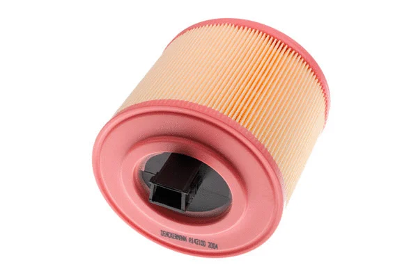 Air Filter (A142100)
