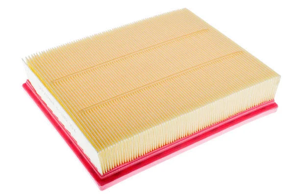 Air Filter (A141800)