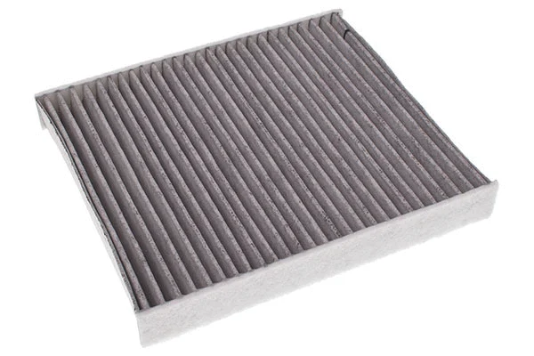 Filter, cabin air (M110957K)
