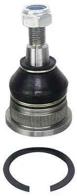 Ball Joint (D110199)