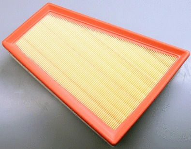 Air Filter (A141793)