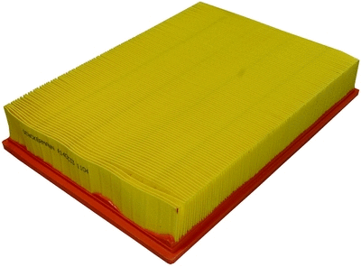 Air Filter (A140333)