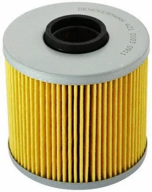 Oil Filter (A210103)