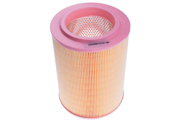 Air Filter (A141062)