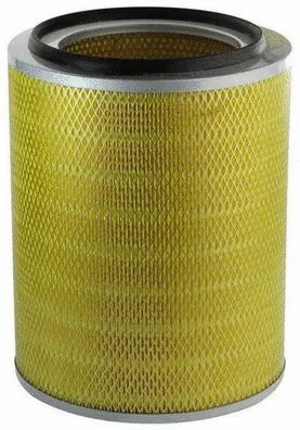 Air Filter (A140360)