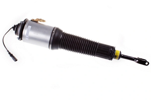 Air Suspension Strut (DSA010G)
