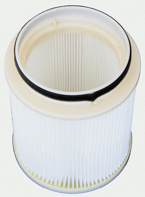 Filter, cabin air (M110742)