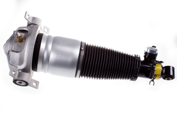 Air Suspension Strut (DSA016G)