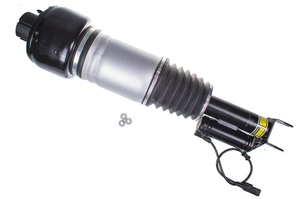 Air Suspension Strut (DSA022G)