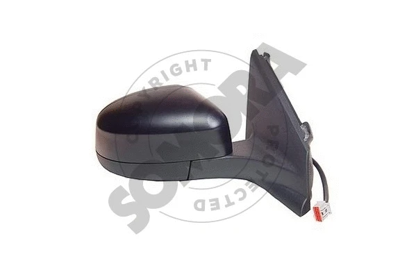 Exterior Mirror (095455)