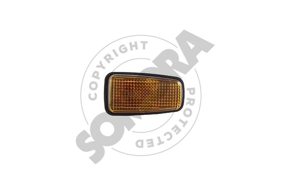 Direction Indicator (229313R)