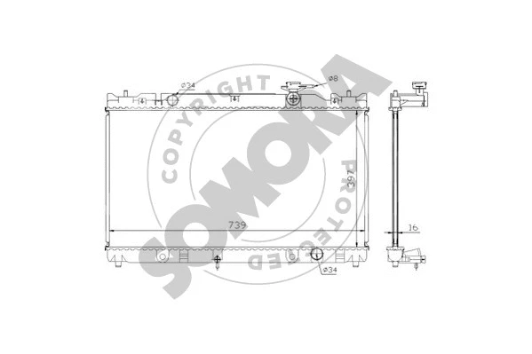 Radiator, engine cooling (313340)