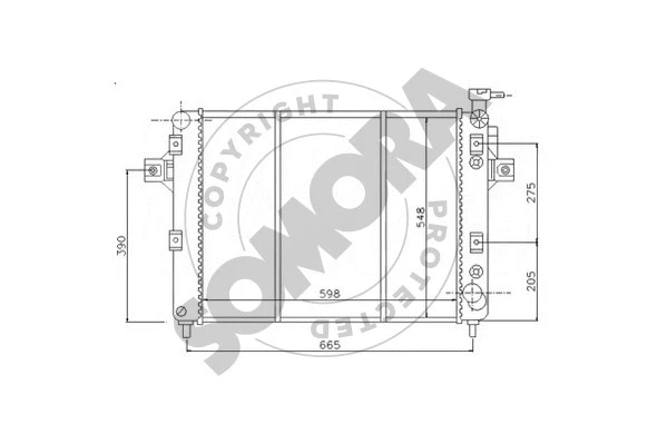 Radiator, engine cooling (195540A)