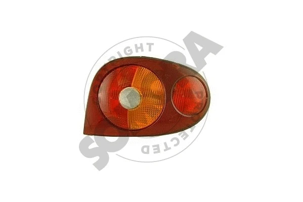 Tail Light Assembly (243171C)