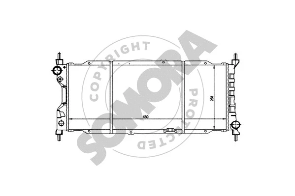 Radiator, engine cooling (212441)