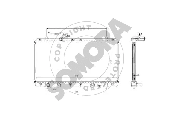 Radiator, engine cooling (303040)