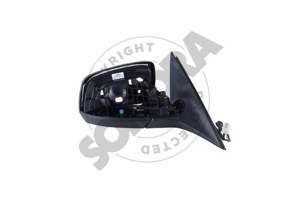 Exterior Mirror (171455M)