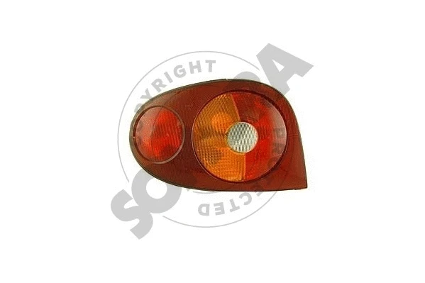 Tail Light Assembly (243172C)