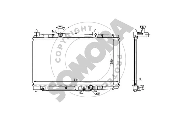 Radiator, engine cooling (310143)