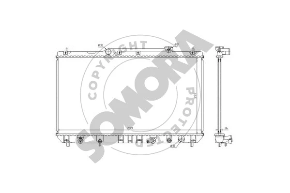 Radiator, engine cooling (313240)