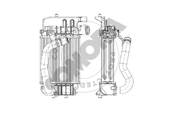 Charge Air Cooler (310345)