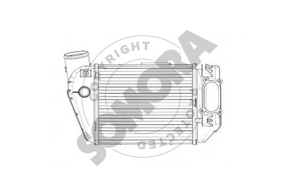 Charge Air Cooler (021545DR)
