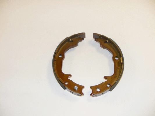 Brake Shoe Set (NS4113)
