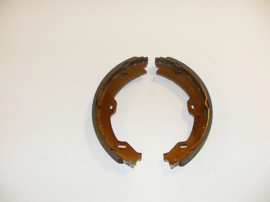 Brake Shoe Set (NS4110)