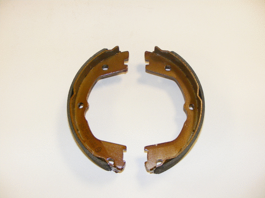 Brake Shoe Set (NS4119)