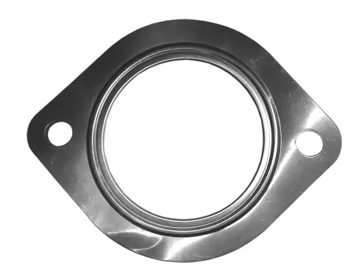 Gasket, exhaust pipe (09.46.54)