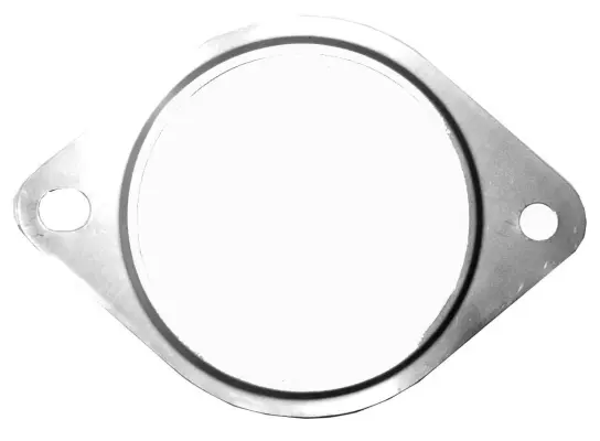 Gasket, exhaust pipe (09.46.12)