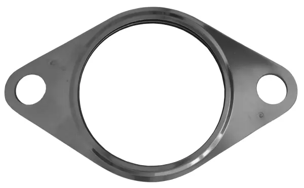 Gasket, exhaust pipe (09.46.56)