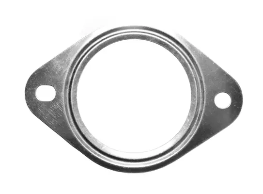 Gasket, exhaust pipe (09.46.37)