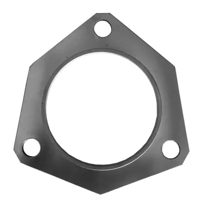 Gasket, exhaust pipe (09.46.53)