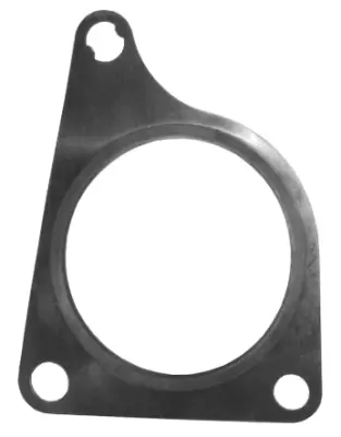 Gasket, exhaust pipe (09.46.49)
