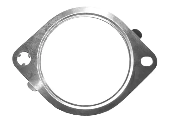 Gasket, exhaust pipe (09.46.25)