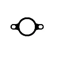 Gasket, exhaust pipe (09.44.94)