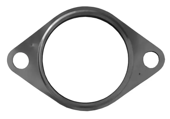 Gasket, exhaust pipe (09.46.57)