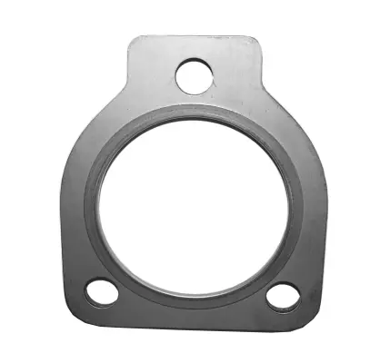Gasket, exhaust pipe (09.46.38)