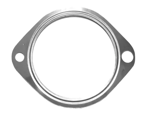 Gasket, exhaust pipe (09.46.46)