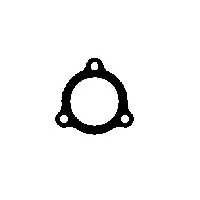 Gasket, exhaust pipe (09.44.77)