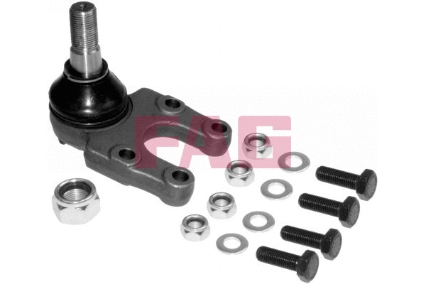 Ball Joint (825 0235 10)