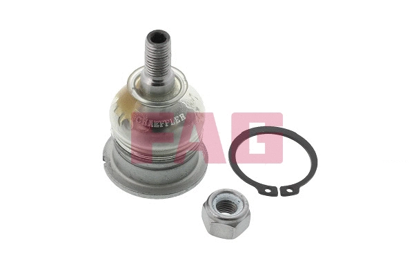 Ball Joint (825 0037 10)