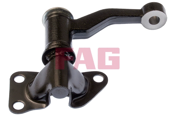 Steering Arm (842 0010 10)