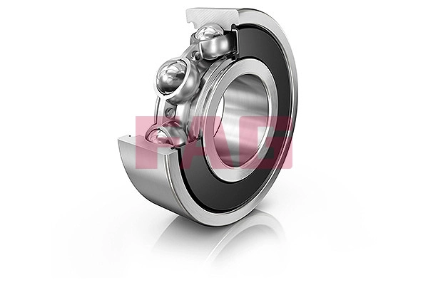 Bearing (6004.2RSR)